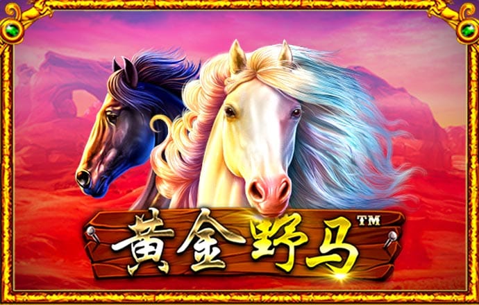 波胆网址多少